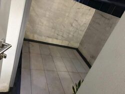 Alexis (D3), Apartment #517134971